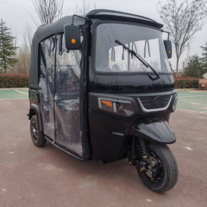 4 seater petrol tuk tuk